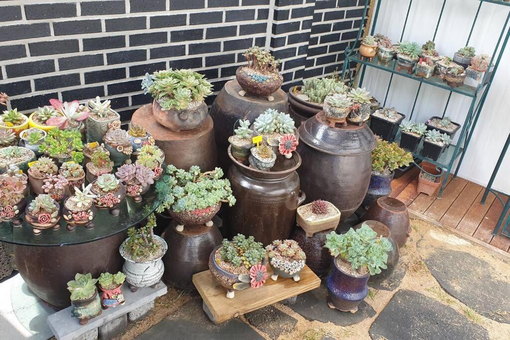 Gyeongju Sugi'S Guesthouse المظهر الخارجي الصورة